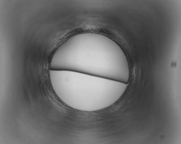 X0000111231348200907161307