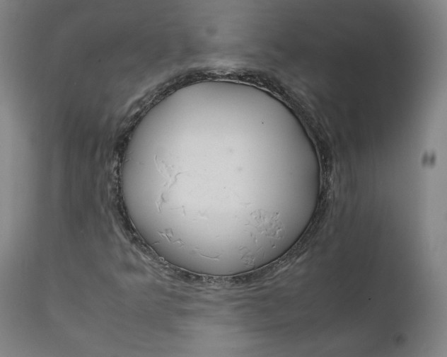 X0000111231349200907161307