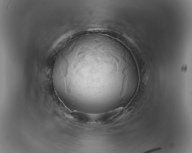 X0000111231351200907161307