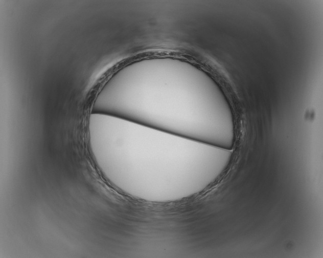 X0000111231352200907161307