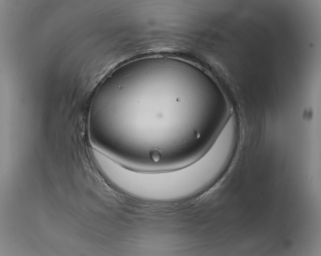 X0000111231353200907161307