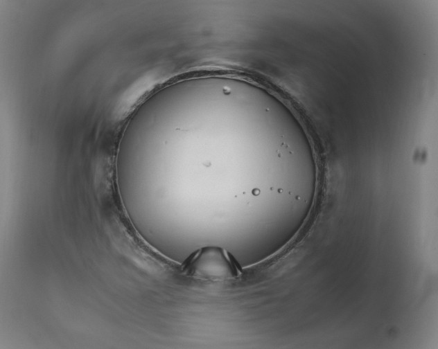 X0000111231355200907161306