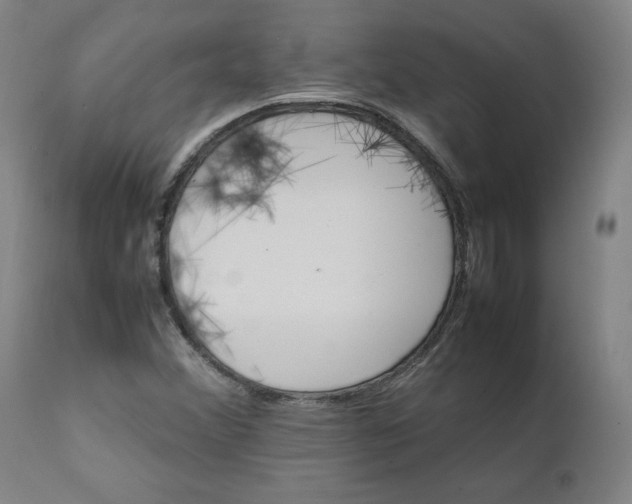 X0000111231356200907161306