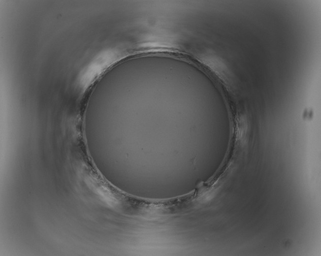 X0000111231357200907161306