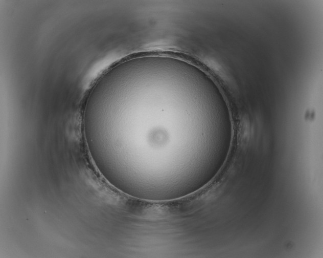 X0000111231358200907161306