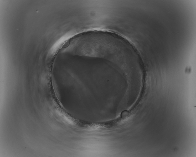 X0000111231359200907161306
