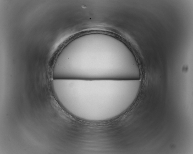 X0000111231360200907161306