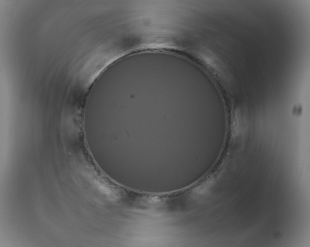 X0000111231361200907161306