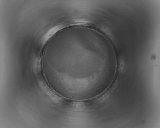X0000111231362200907161306