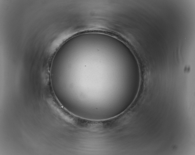 X0000111231363200907161306