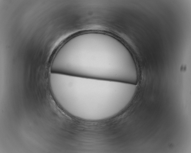 X0000111231364200907161306