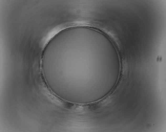X0000111231365200907161306