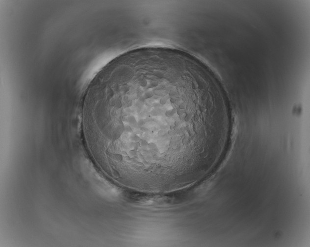 X0000111231367200907161306