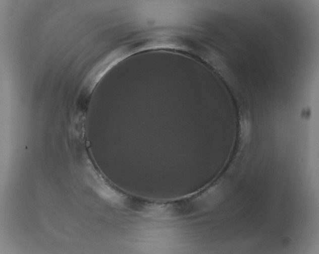 X0000111231369200907161306