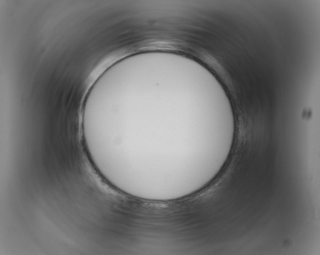X0000111231370200907161306