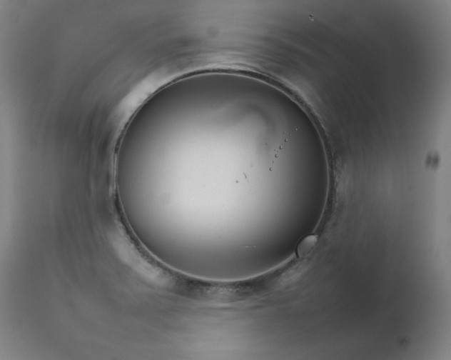 X0000111231371200907161306