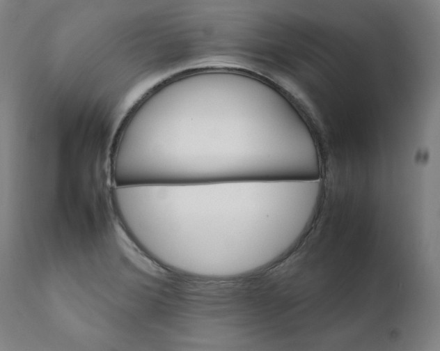 X0000111231372200907161306