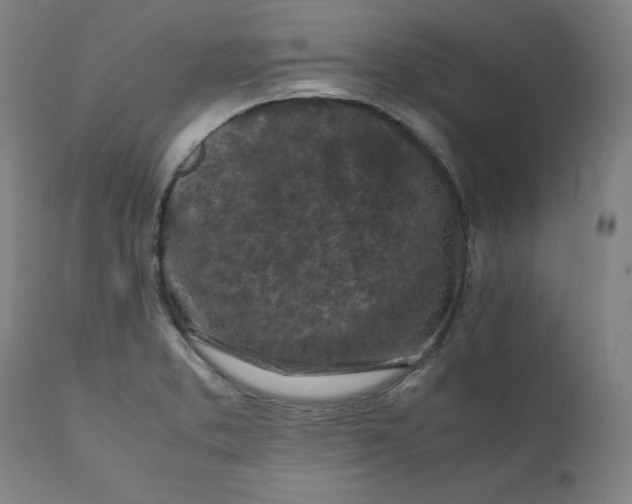 X0000111231373200907161306