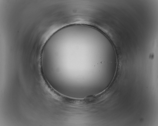 X0000111231375200907161306