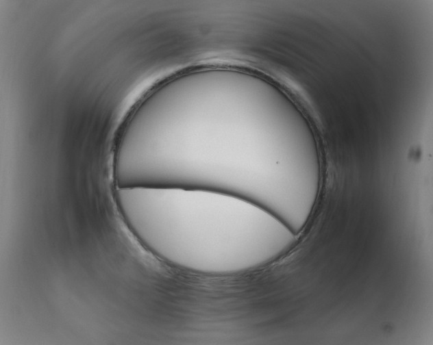 X0000111231376200907161306