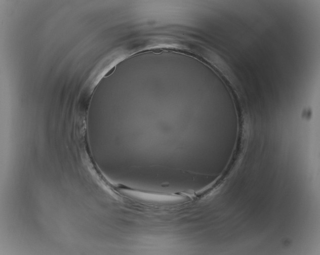 X0000111231377200907161306
