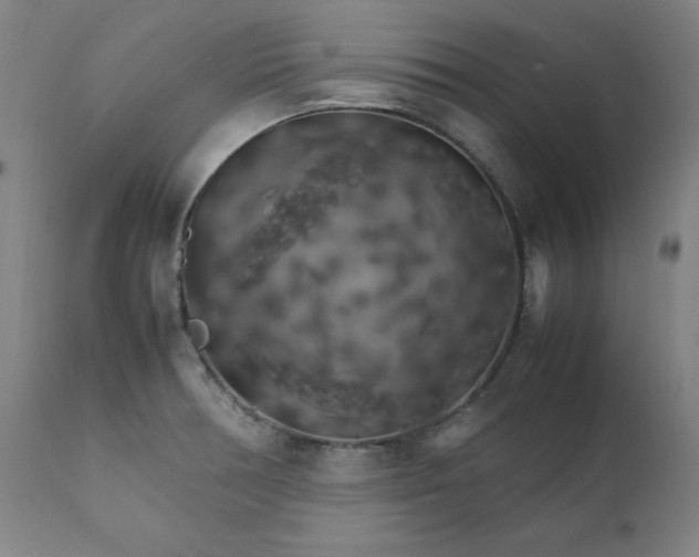 X0000111231378200907161306