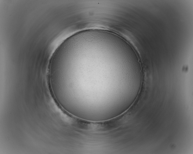 X0000111231379200907161306