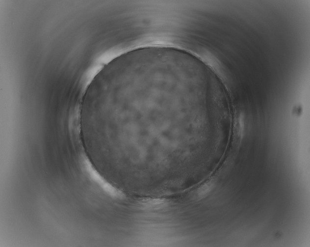 X0000111231382200907161306