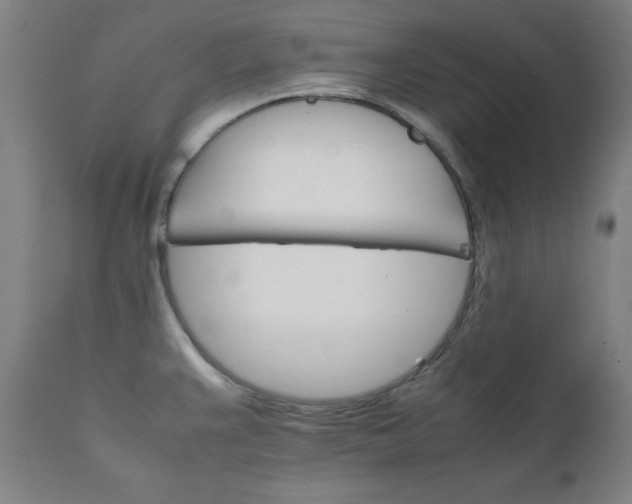 X0000111231383200907161306