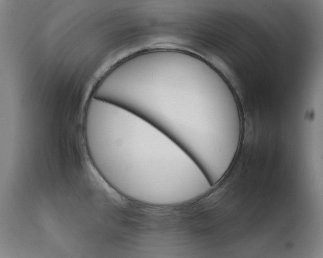 X0000111231384200907161306