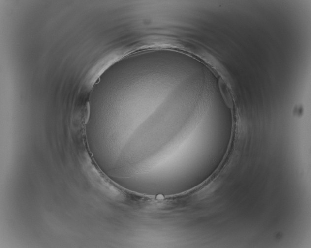 X0000111231385200907161306