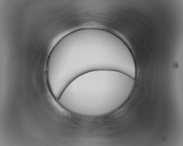 X0000111231387200907161306