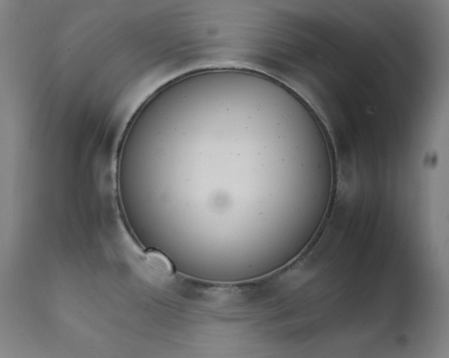 X0000111231388200907161306