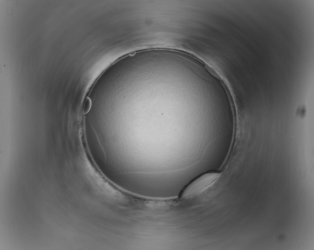 X0000111231389200907161306