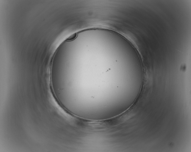 X0000111231391200907161306