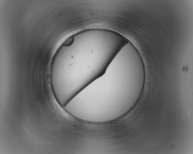 X0000111231392200907161306