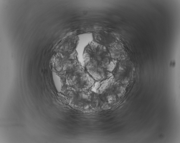 X0000111231393200907161305
