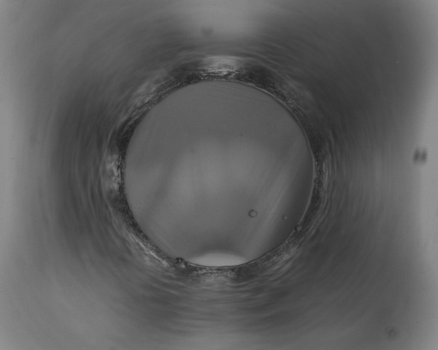 X0000111231394200907161305