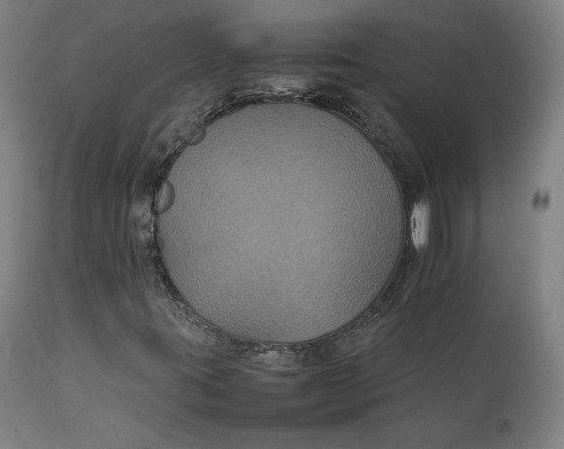 X0000111231395200907161305