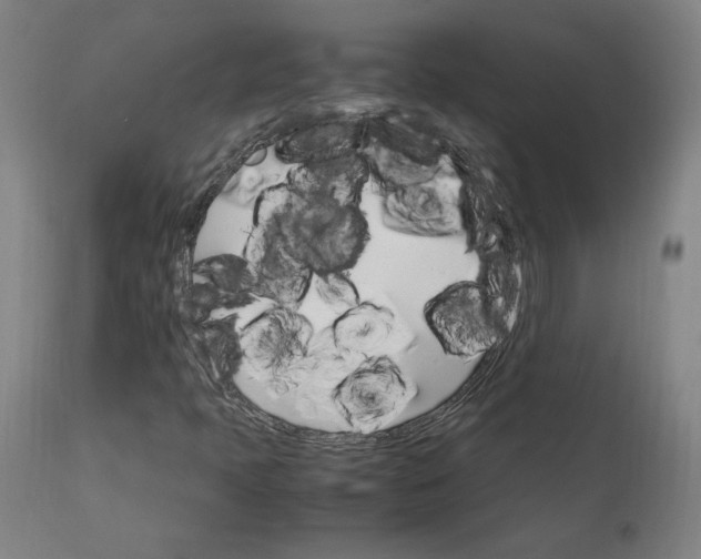 X0000111231397200907161305