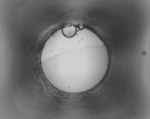 X0000111231398200907161305