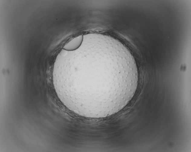 X0000111231399200907161305