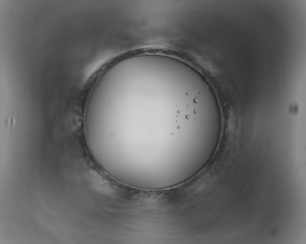 X0000111231400200907161305