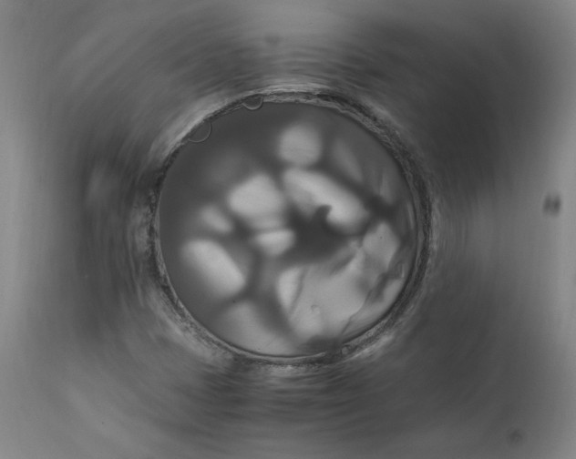 X0000111231401200907161305