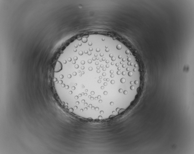X0000111231402200907161305