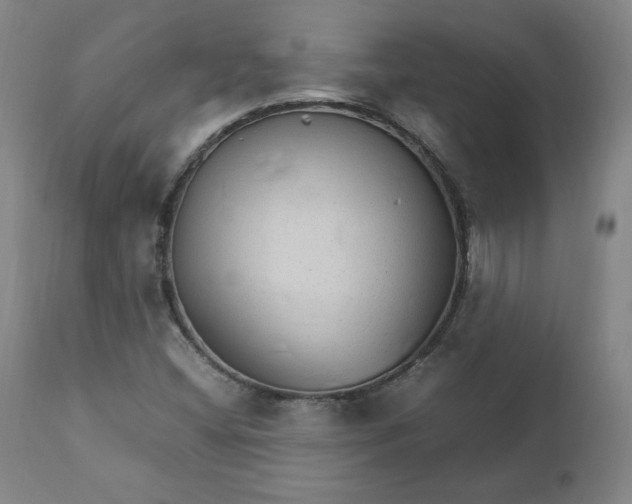 X0000111231404200907161305