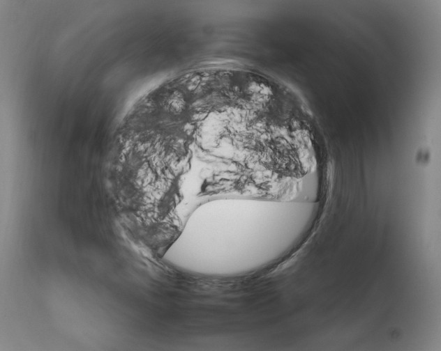 X0000111231405200907161305