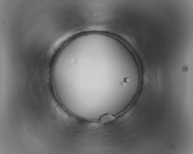 X0000111231406200907161305