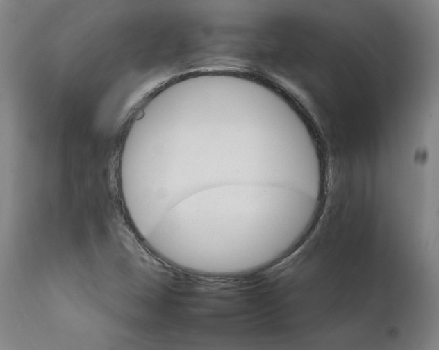 X0000111231407200907161305