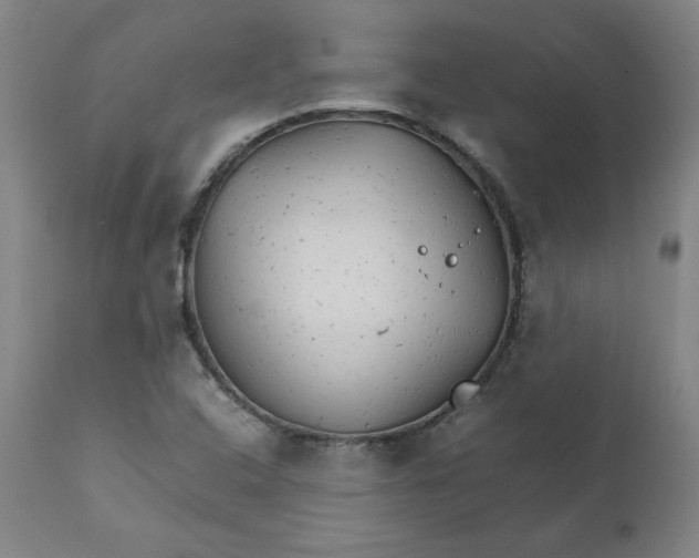 X0000111231408200907161305